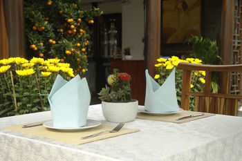 Hoa Co 2 Hoi An