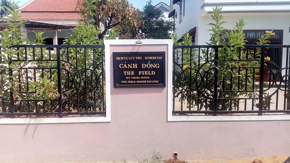 The Field