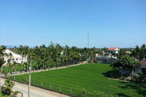 Rice Field Homestay *