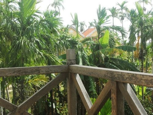 Homestay Lila