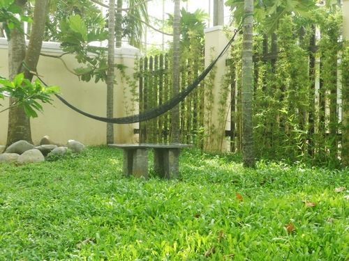 Lila Homestay *