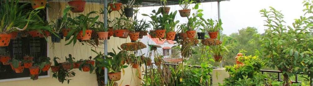 Homestay Leaf
