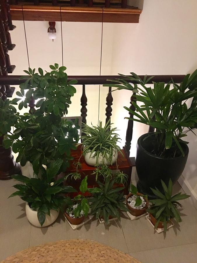 Homestay Bamboo Homestay Hoi An