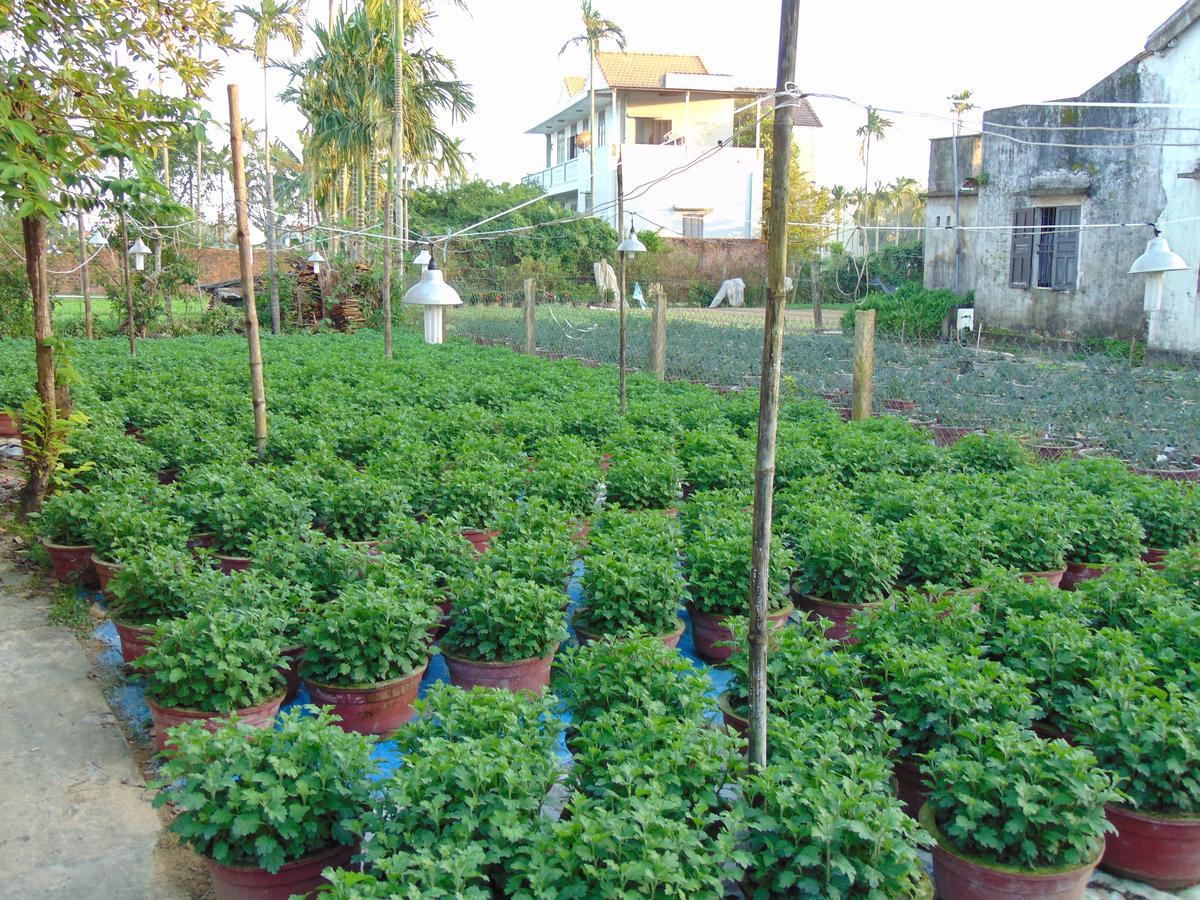 Flower Village Bed & Breakfast Hoi An