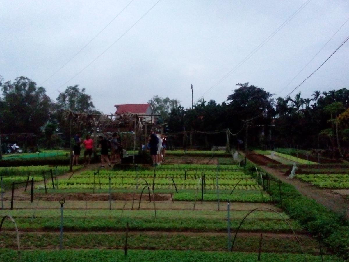Homestay An Bang Town Hoi An