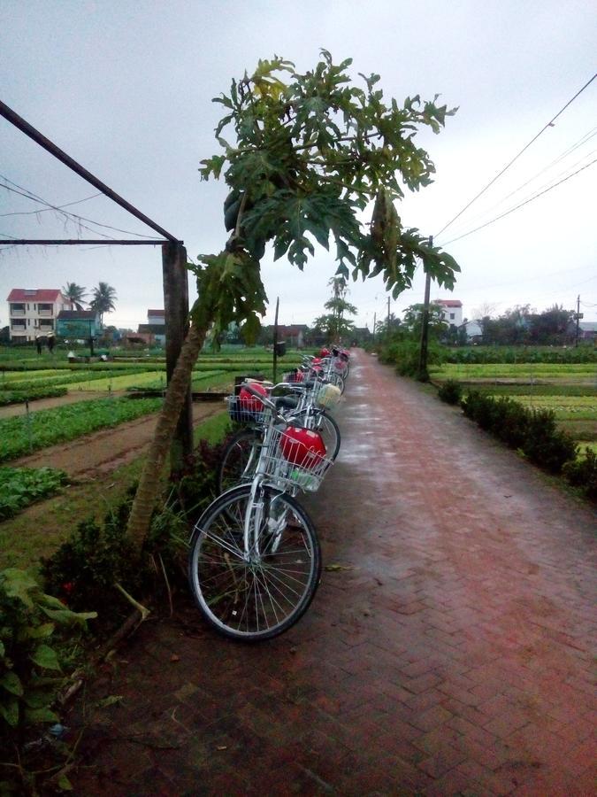 An Bang Town Homestay