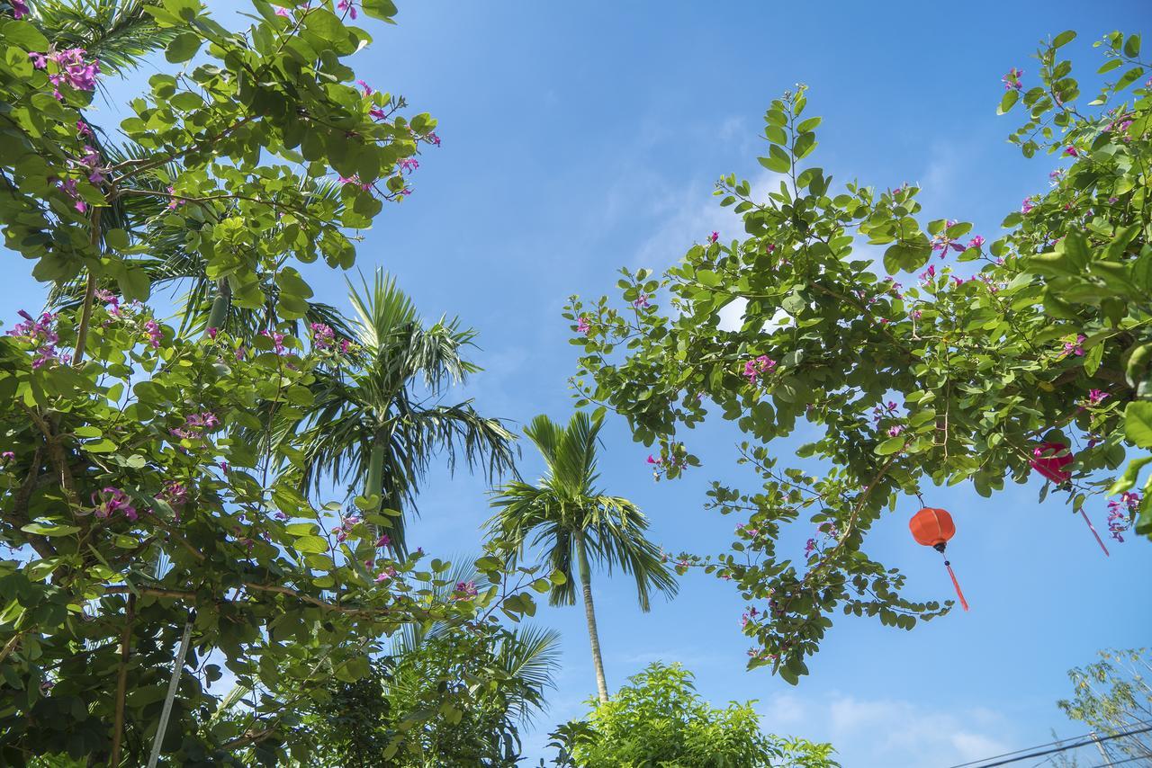 Luna Villa Hoi An