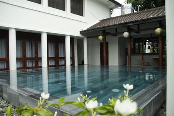 Hoa Co 2 *