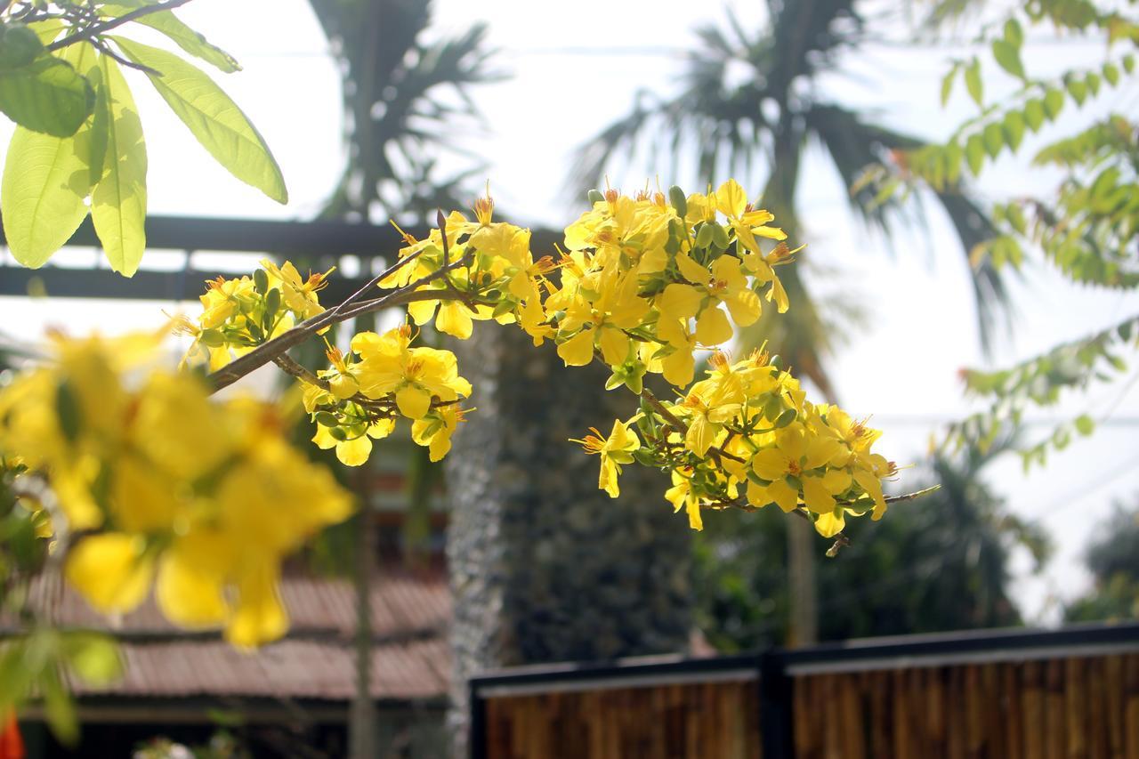 Homestay Farm