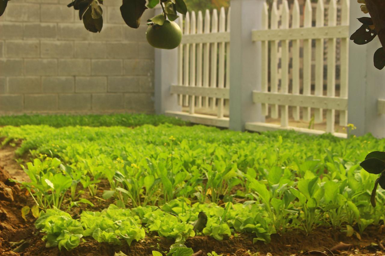 Farm Homestay *