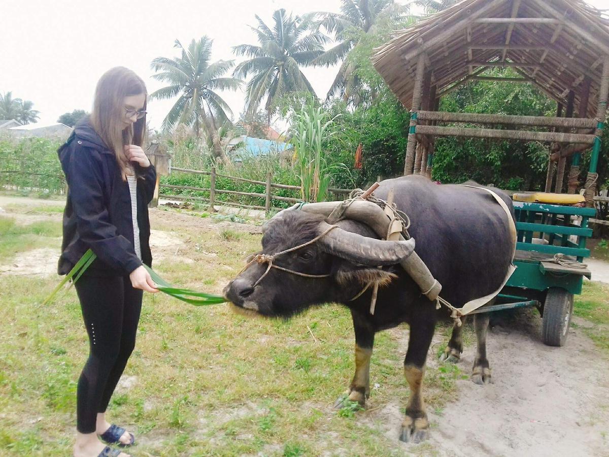 Water Palm 2*