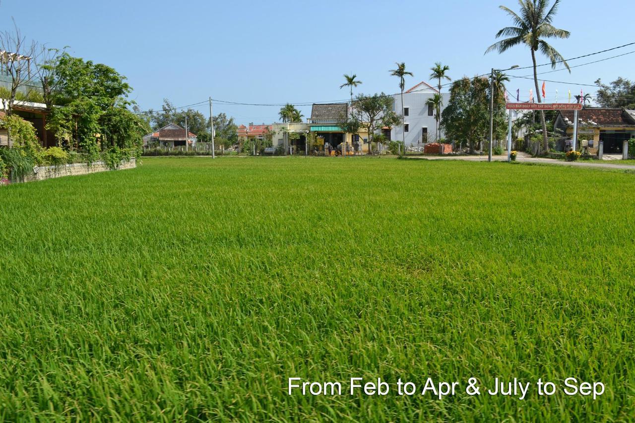 Hotel Chic - Retreat Hoi An