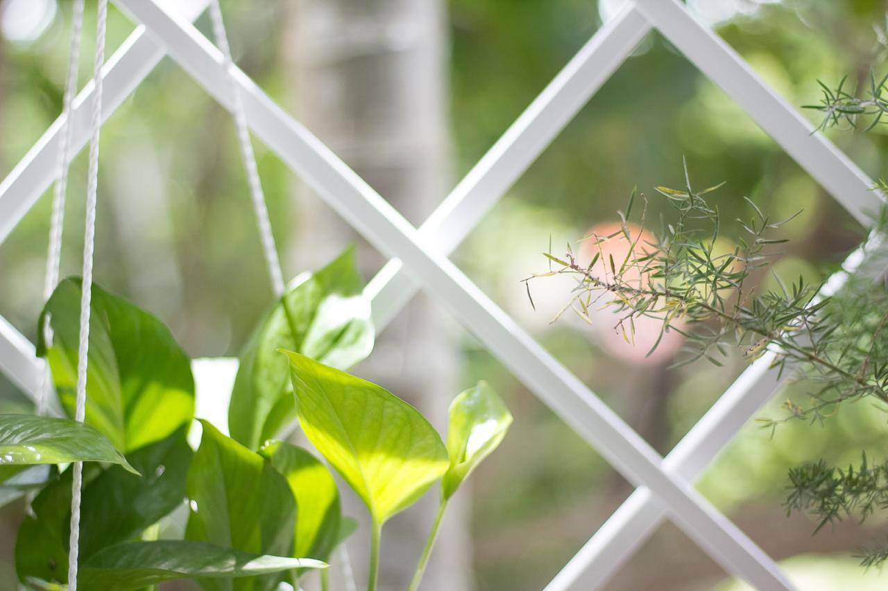 Bean Grass Privatunterkunft