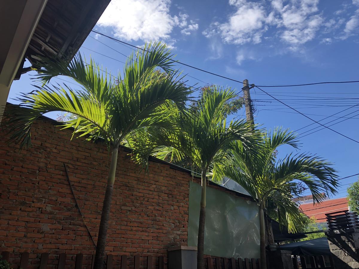Three Palms