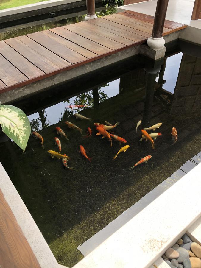Villa Ocean Breeze Hoi An