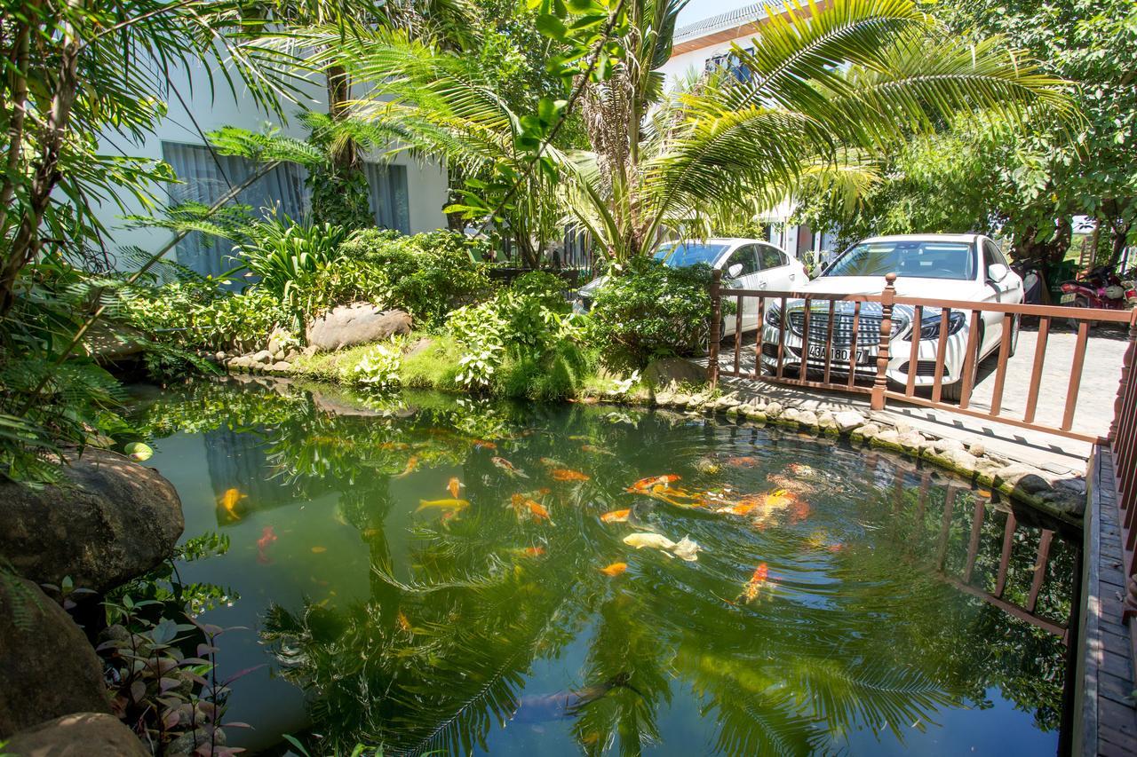 Reverie * Hoi An