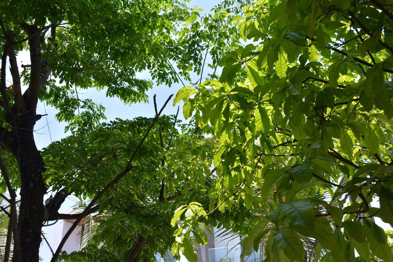Villa Reverie Hoi An