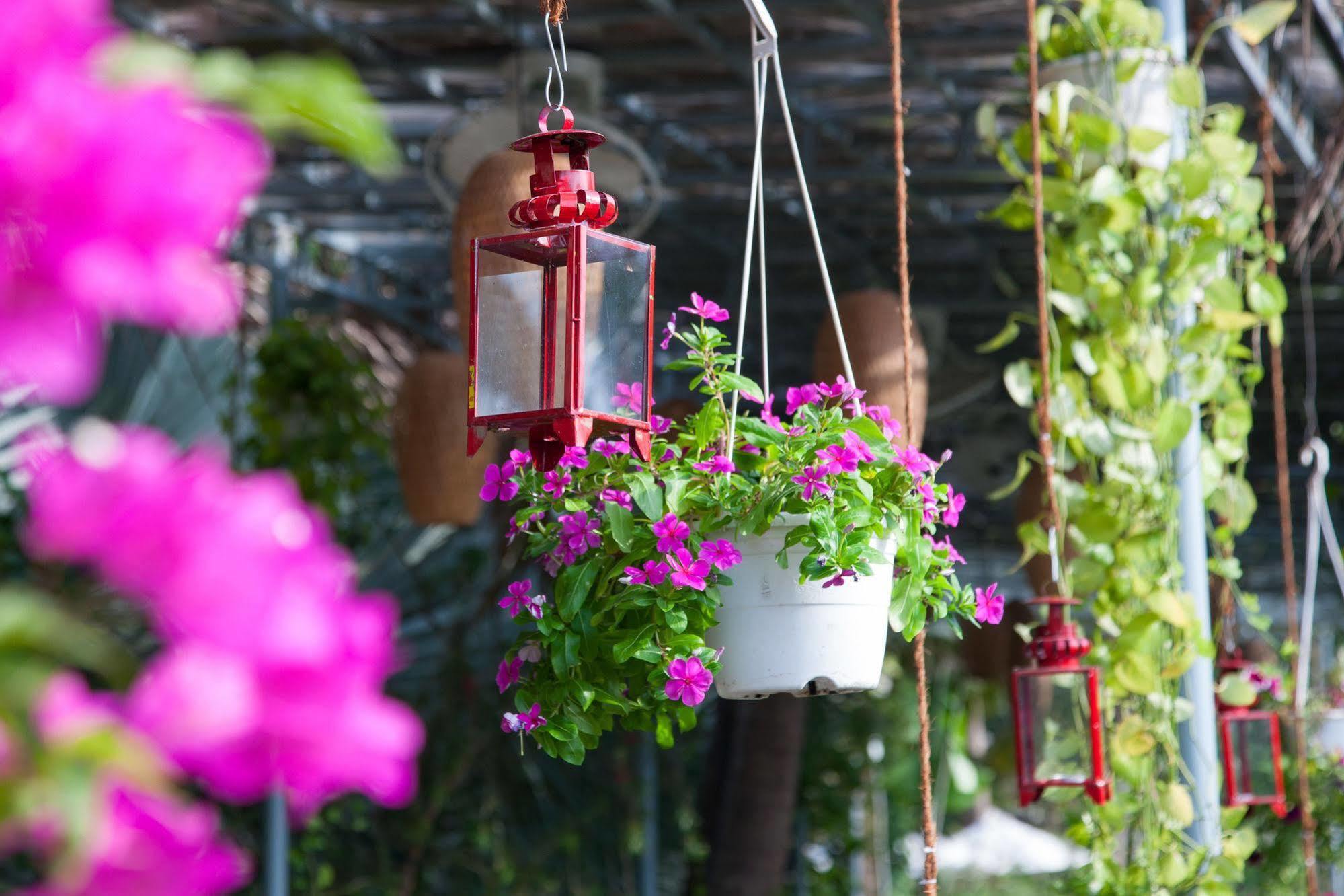 Resort Muca Boutique & Hoi An