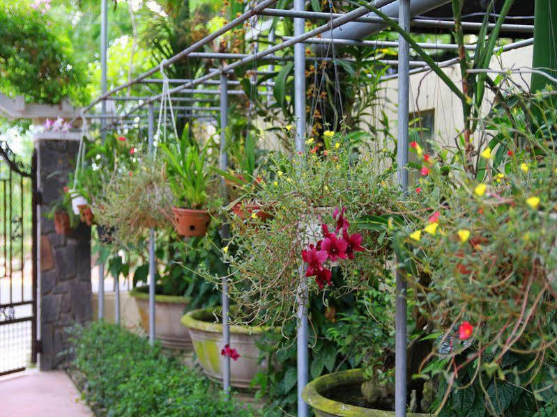 Homestay Leaf *