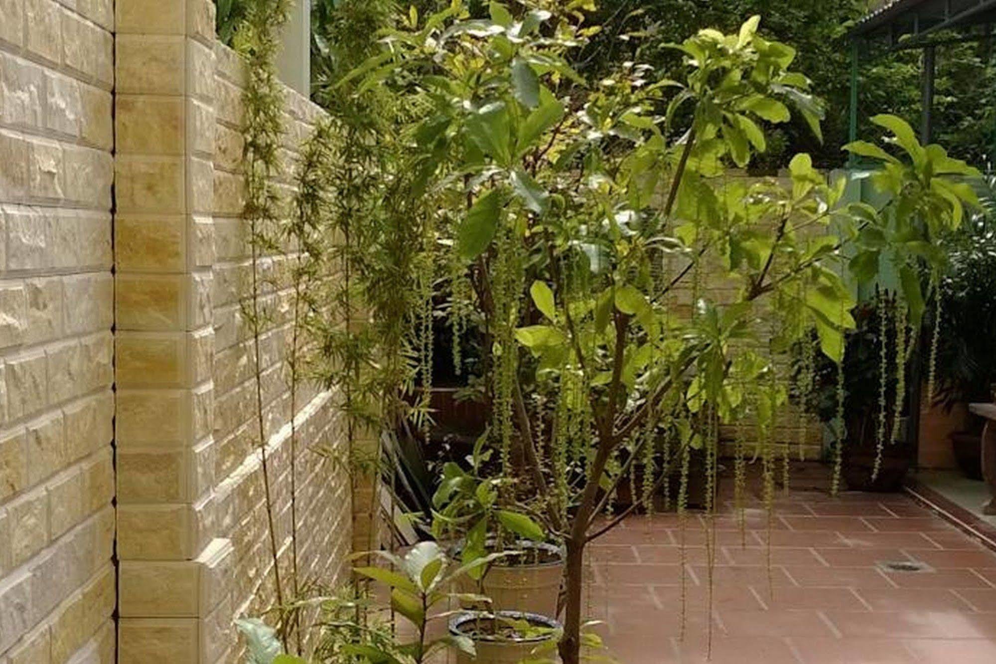 Hi Hợp Yến * Hội An