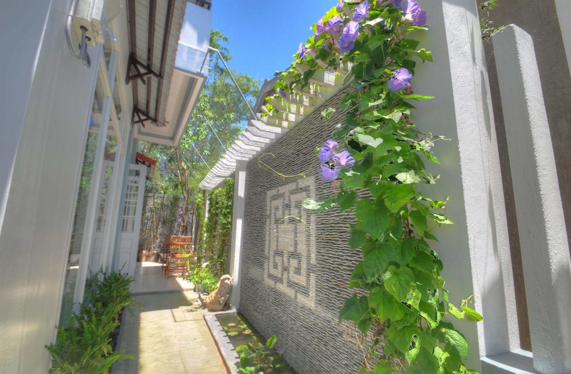 Vesper Hoi An