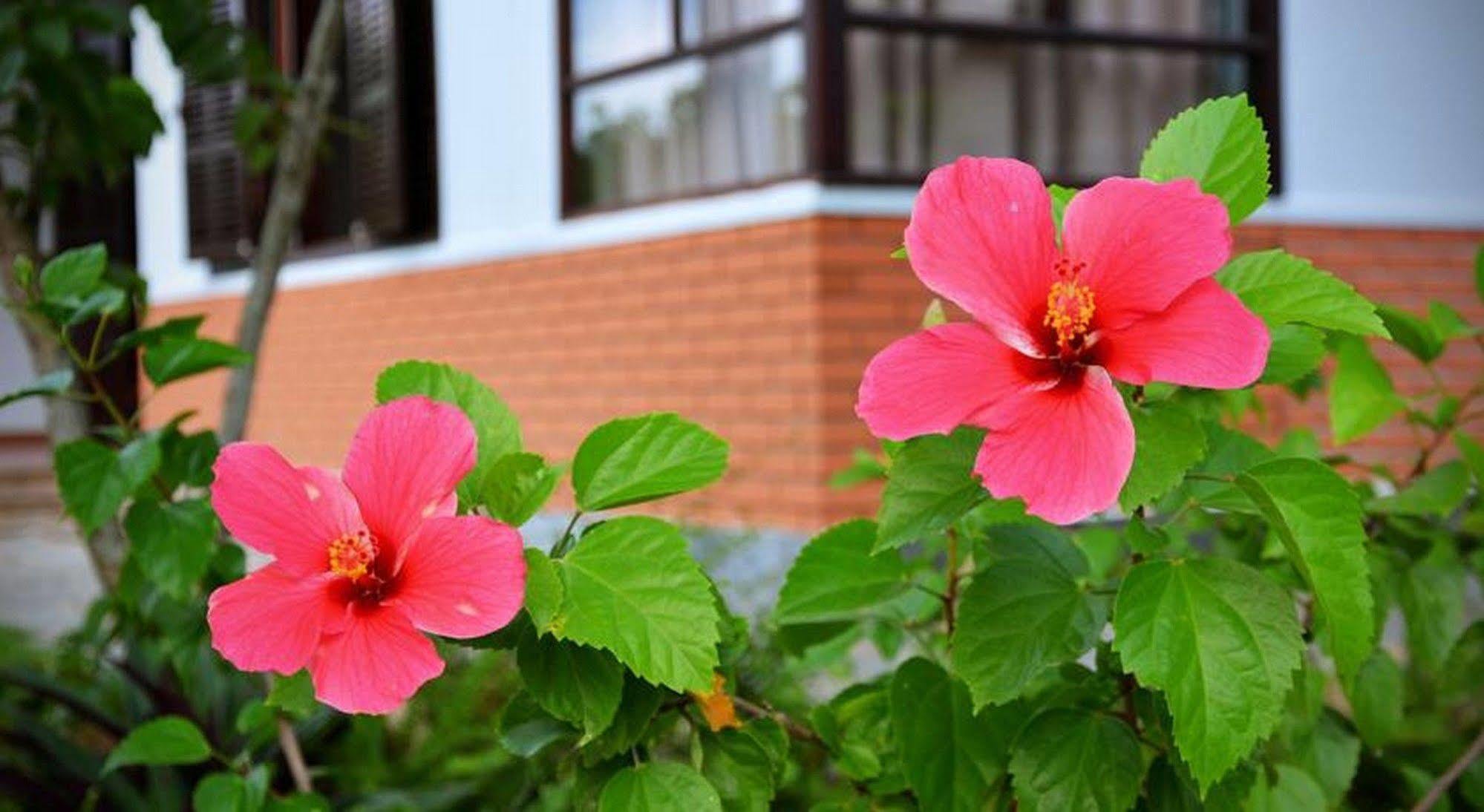 Homestay Garden Aroma *