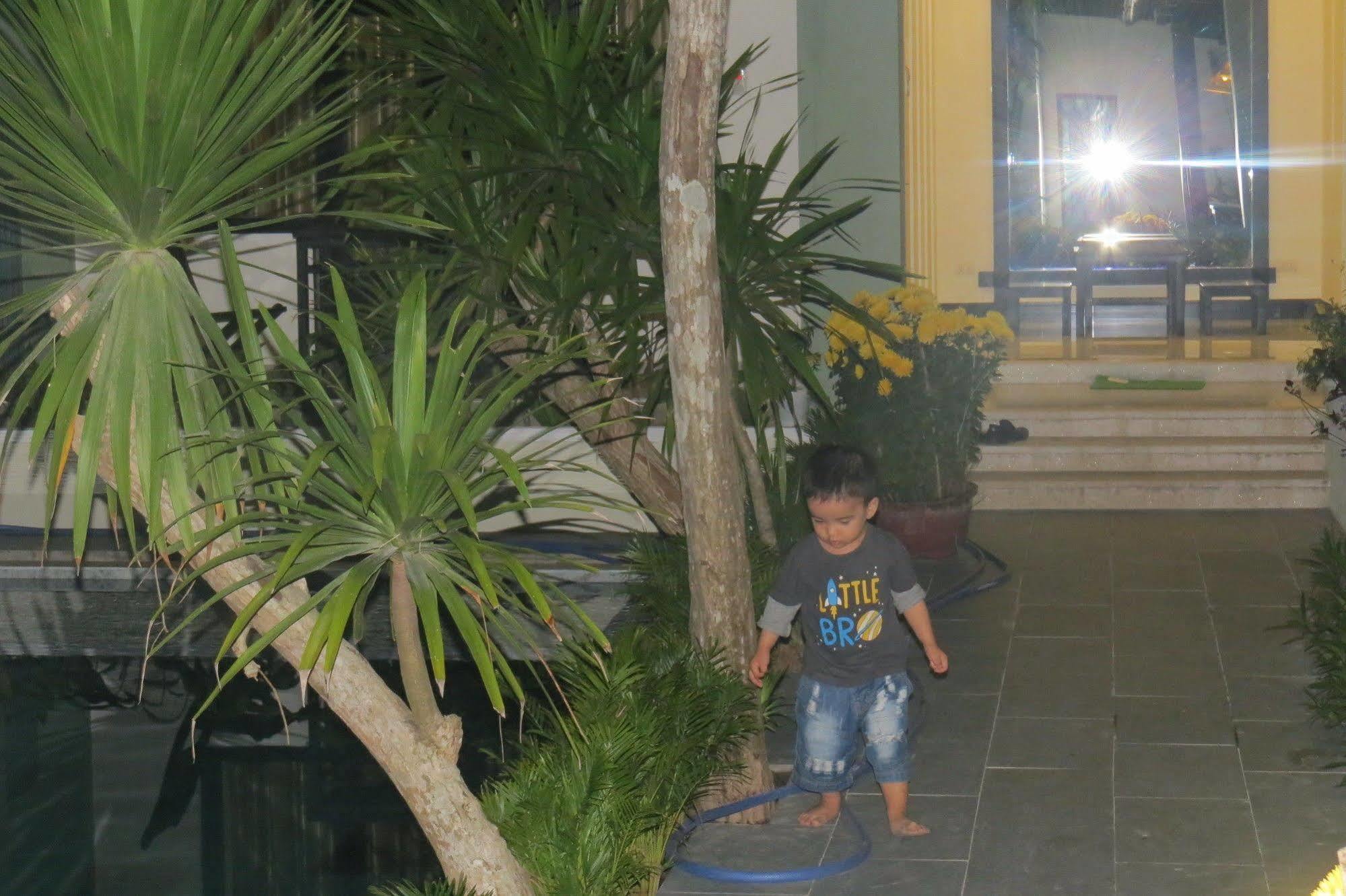 Starfruit * Hoi An