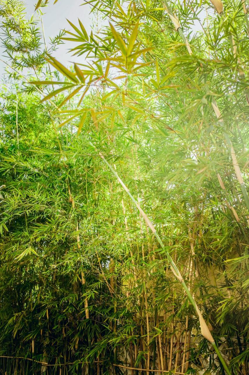 Homestay Chau Hoi An