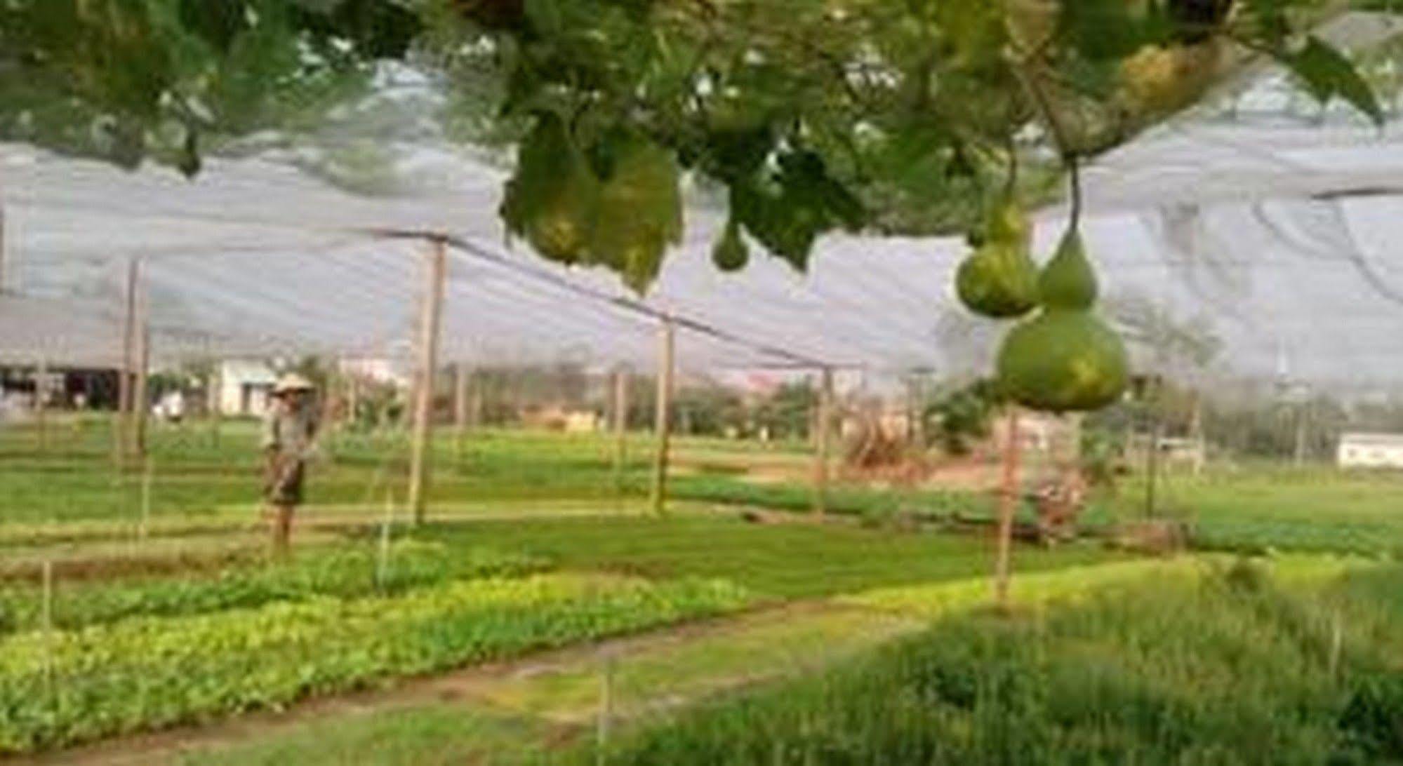 Pousada Pomelo Garden Boutique