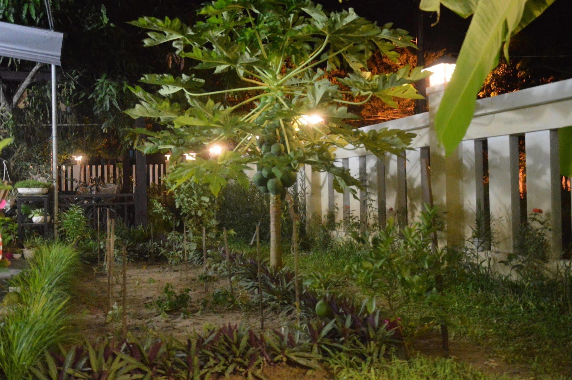 Hoian Joy Homestay *