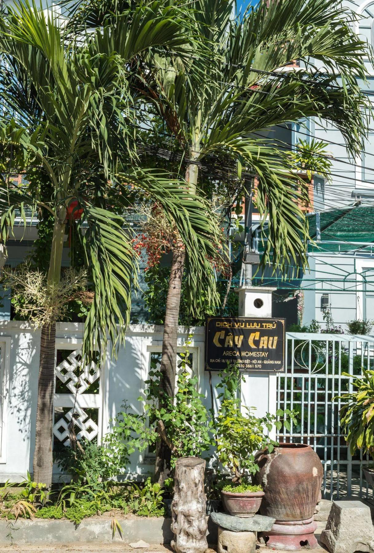 Homestay Areca Hoi An