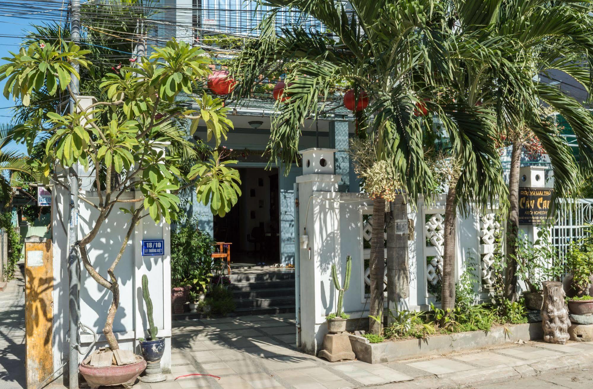 Areca Hoi An