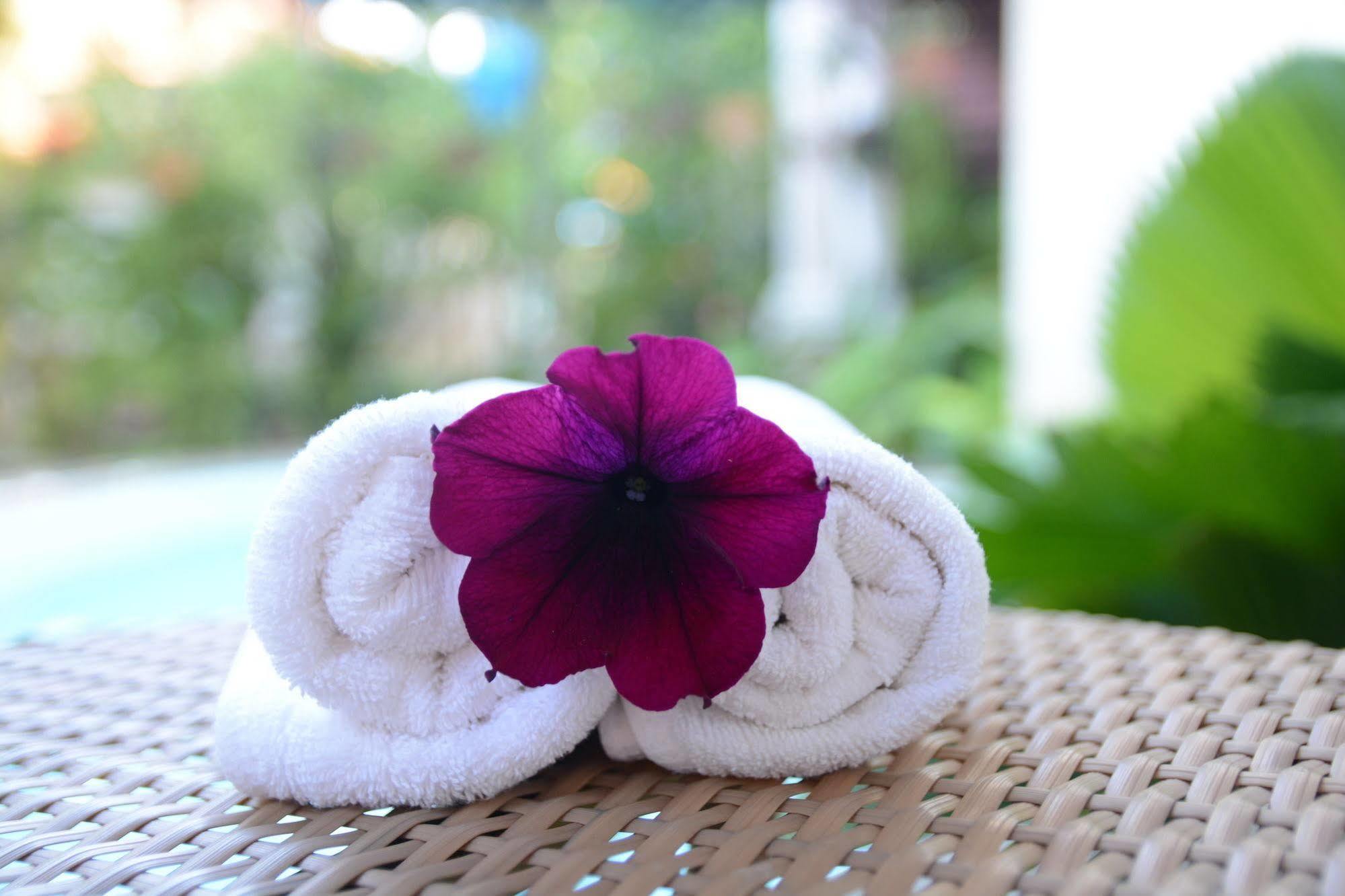 Homestay Botanic Garden