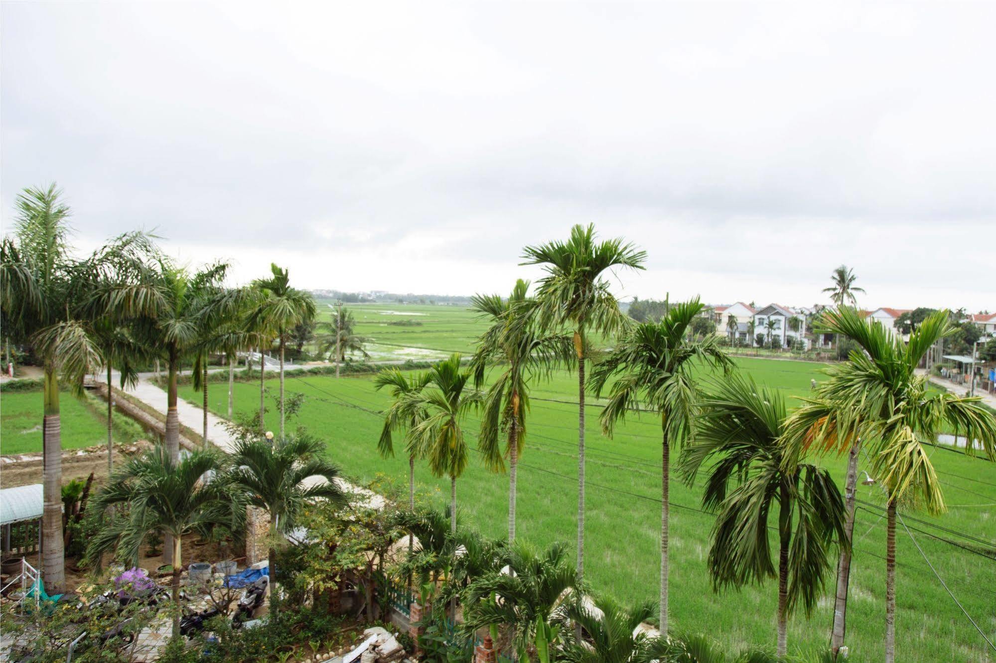 Hoi An Golden Rice Villa Villa Hoi An