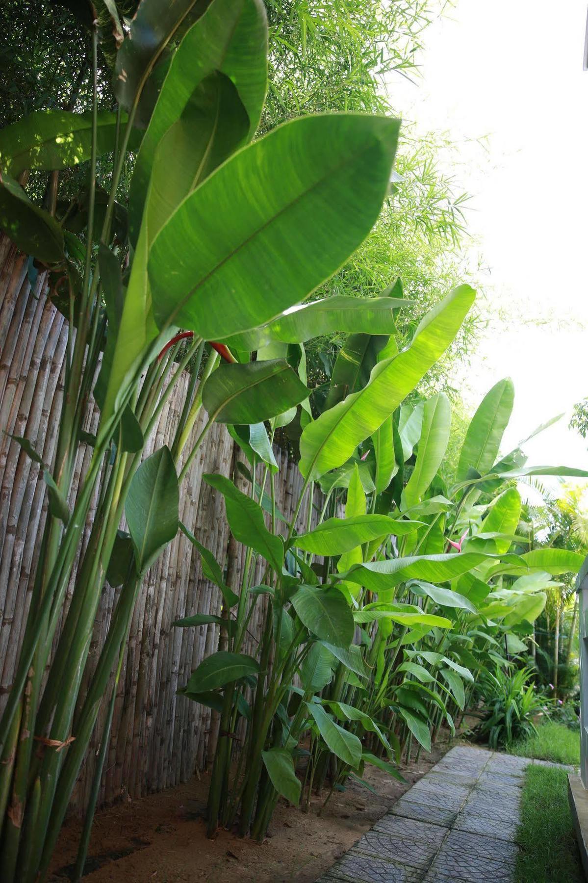 Mr Tho Garden Villas * Hoi An
