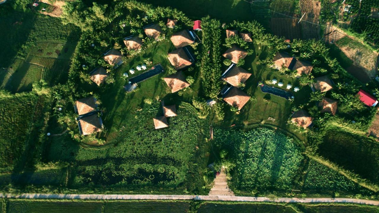 Allamanda Estate