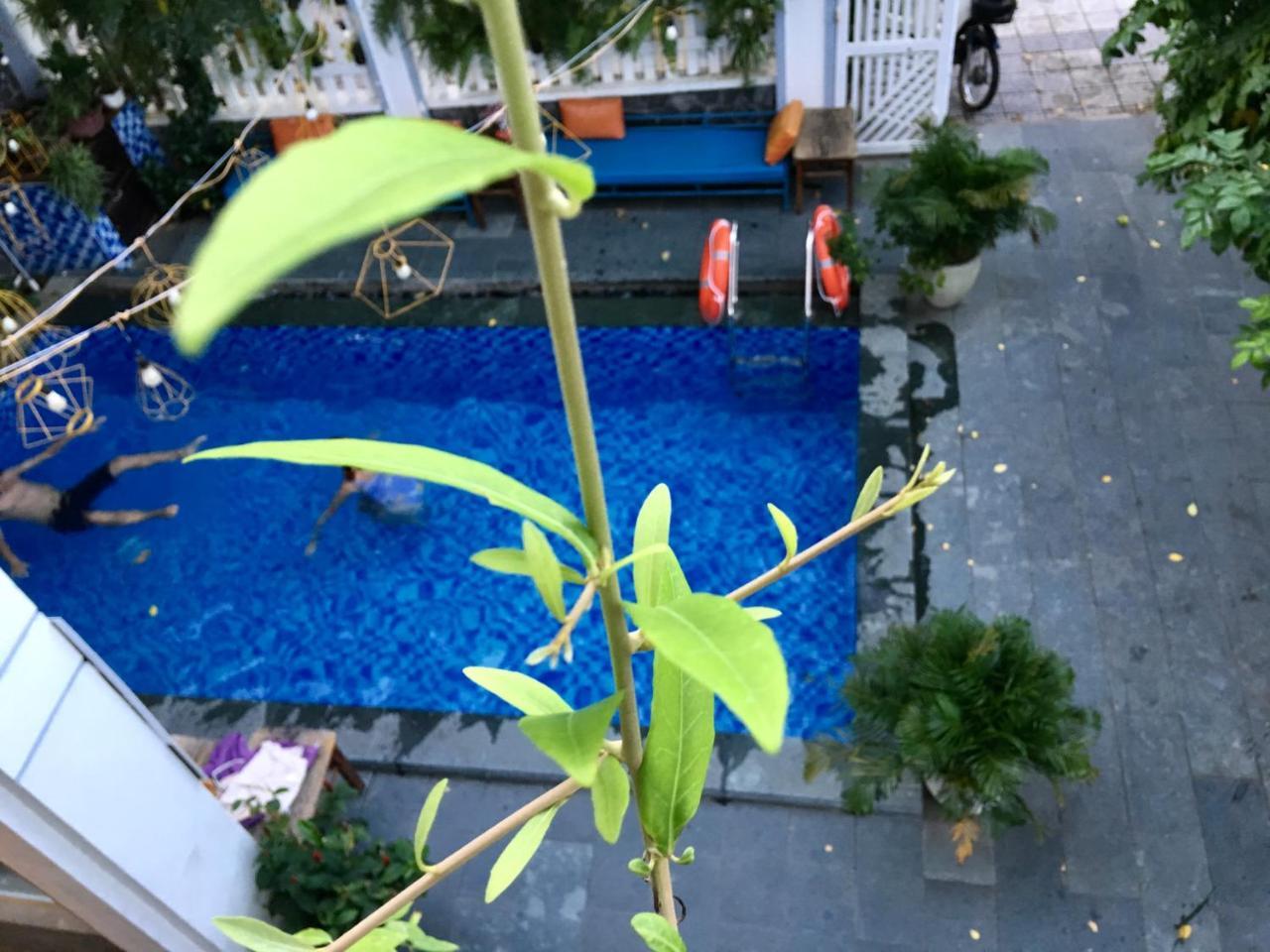 Fusion Hoi An