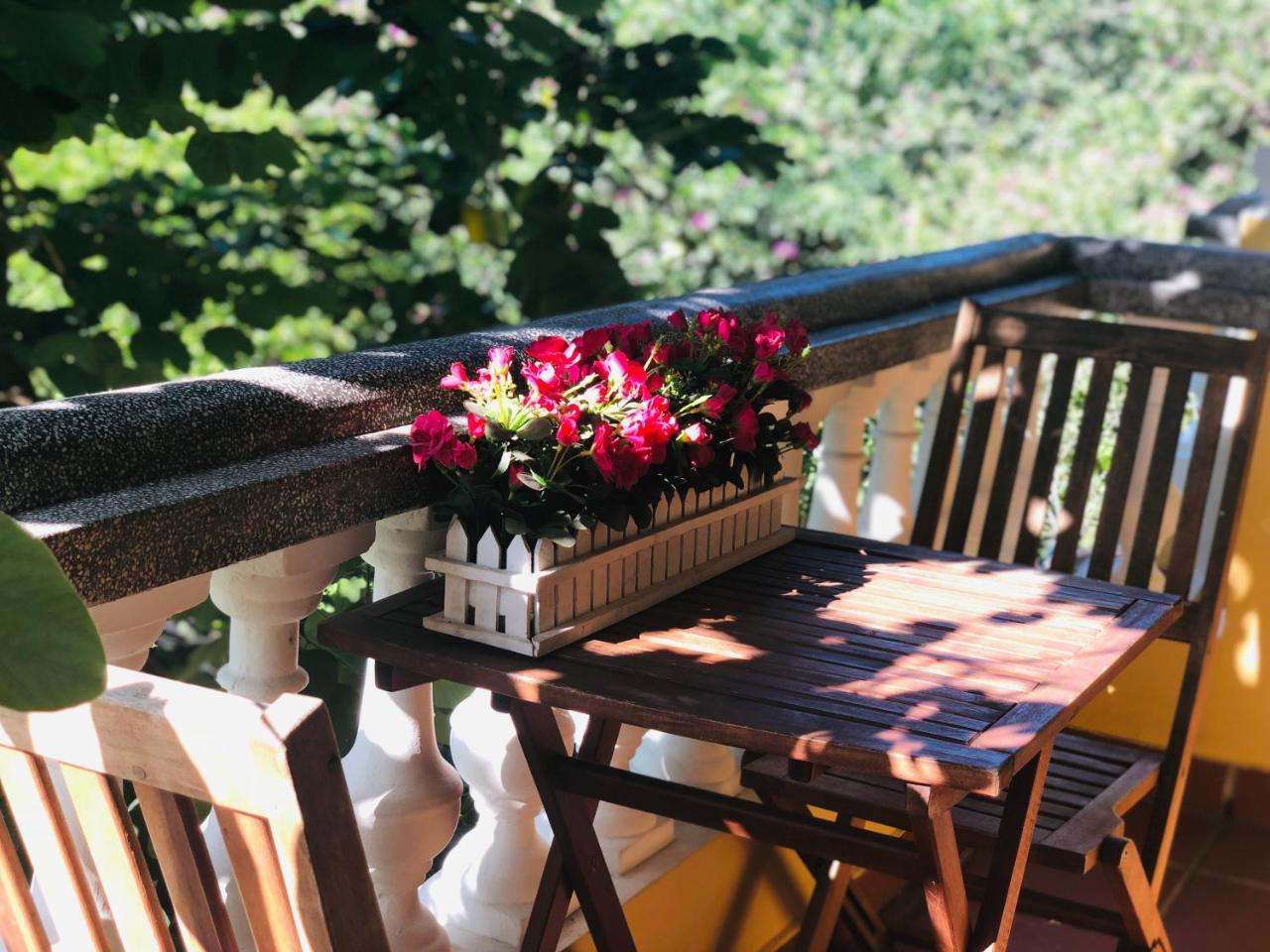 Tammy Bed & Breakfast Hoi An
