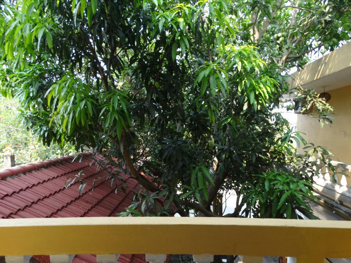 Homestay Yellow House *