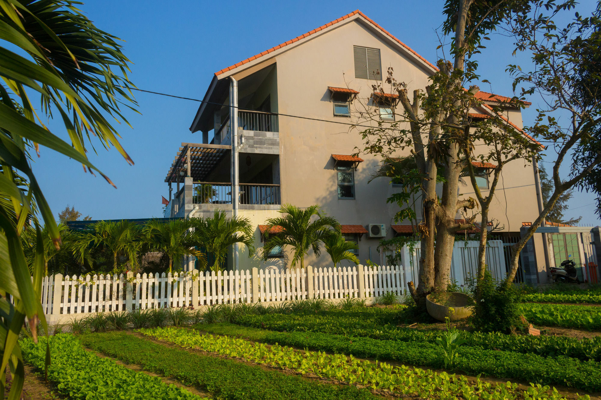 Huyen Tra Que Hoi An