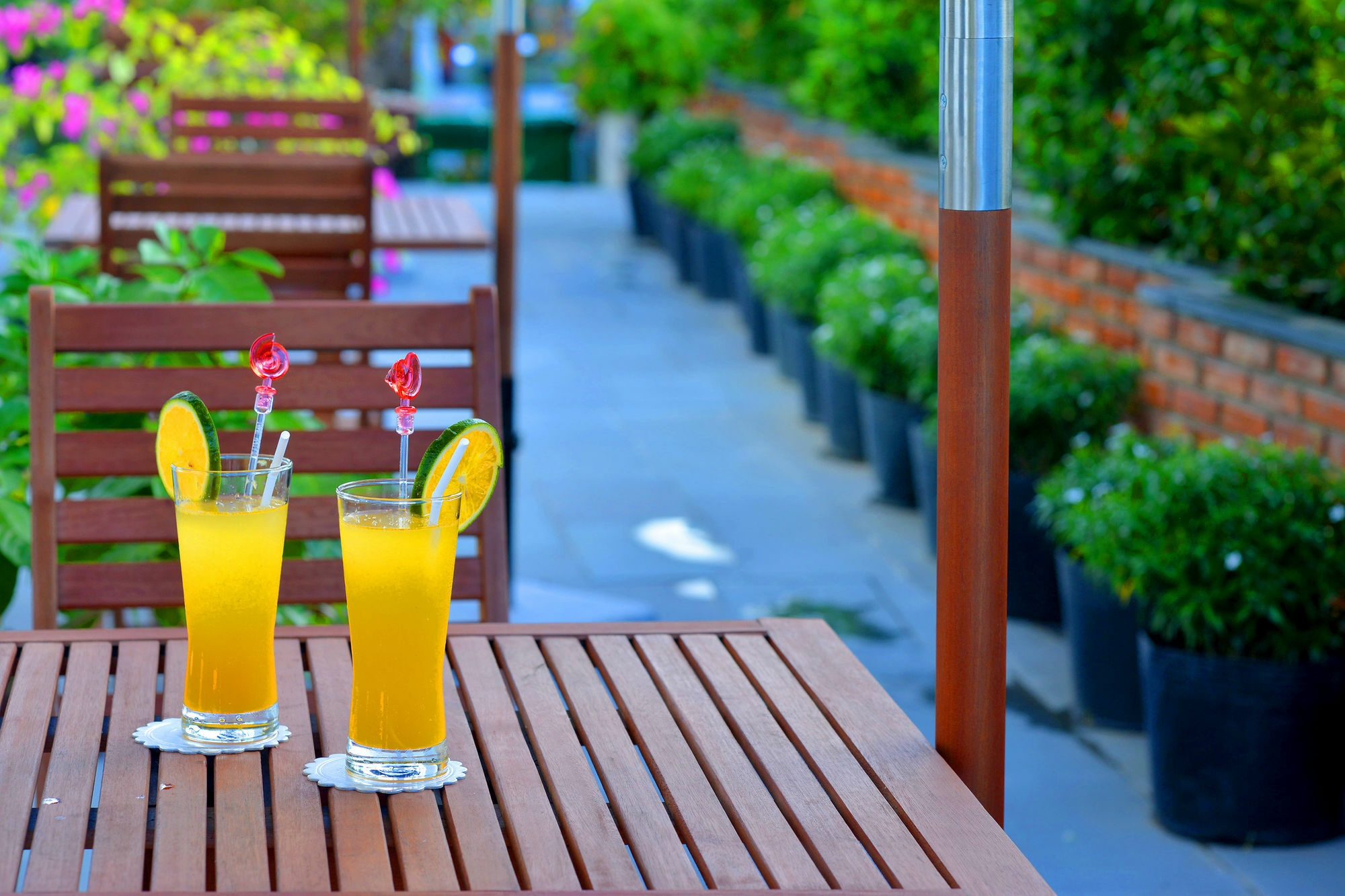 Nostalgia And Hotel Hoi An