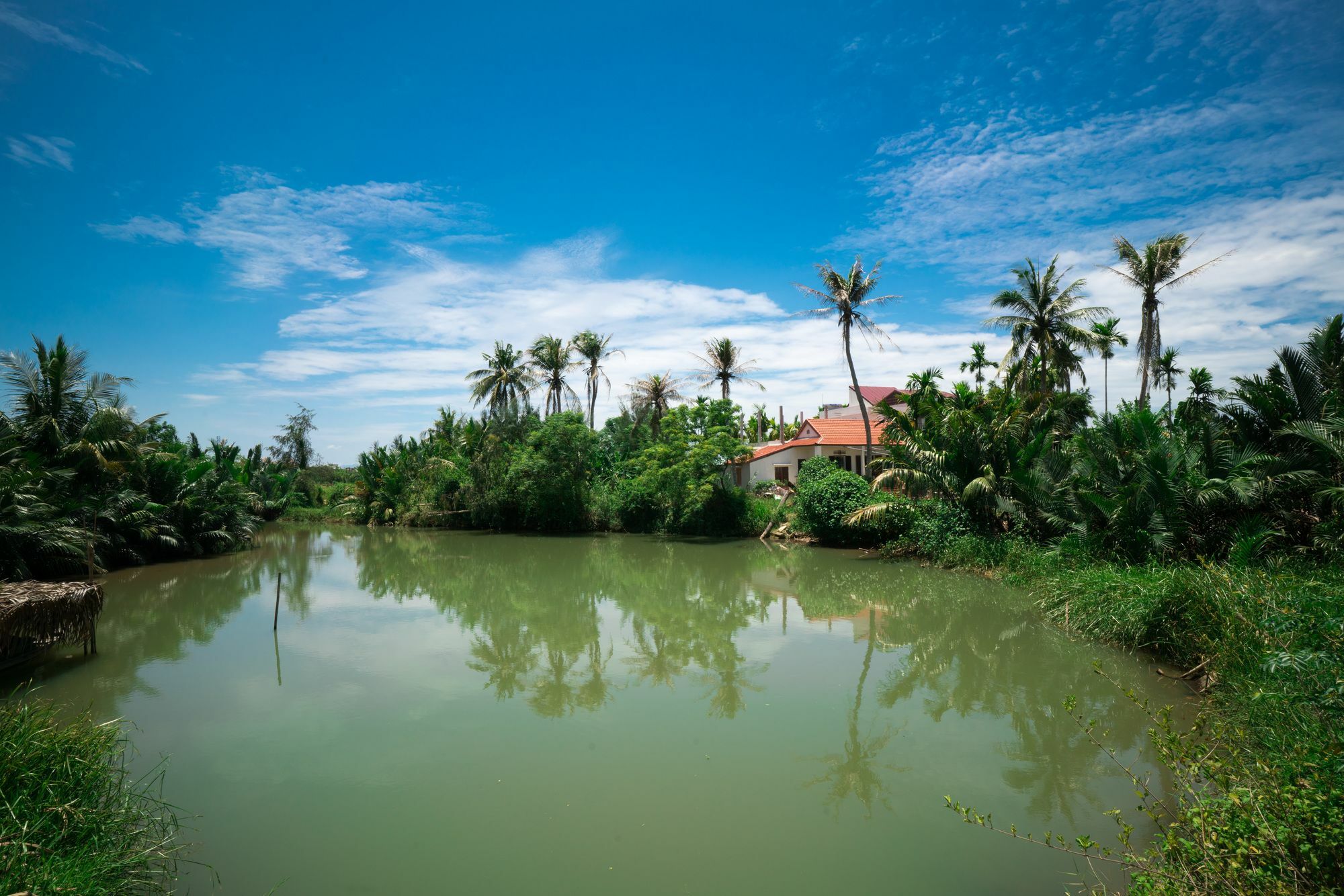 Homestay River Field Hoi An