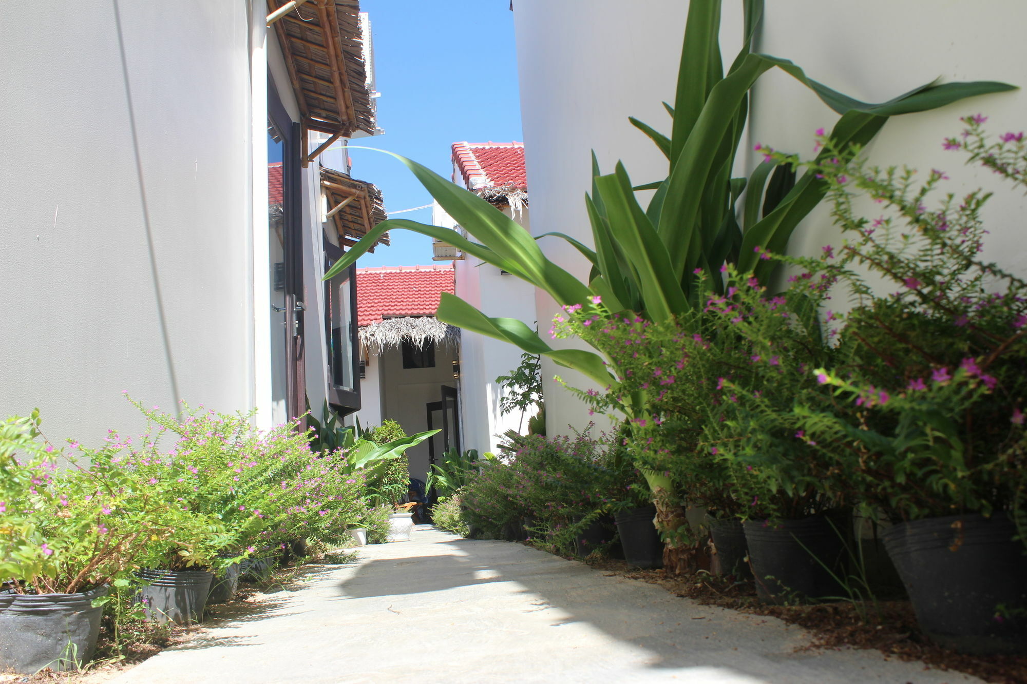 Lido Villa *