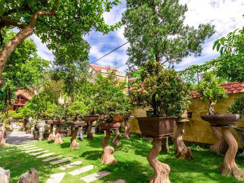 Bonsai 2* Hoi An