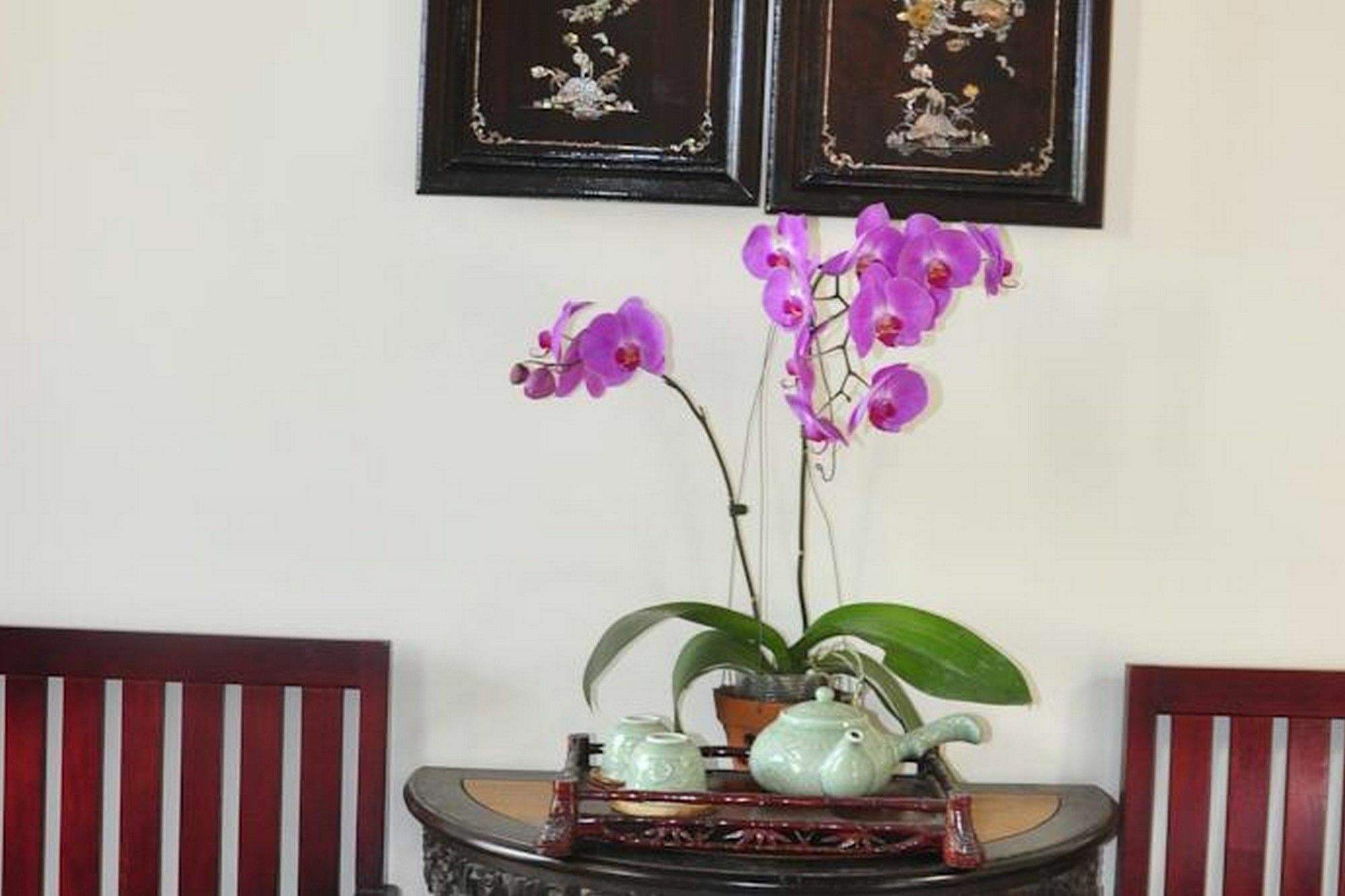 Bonsai Hoi An