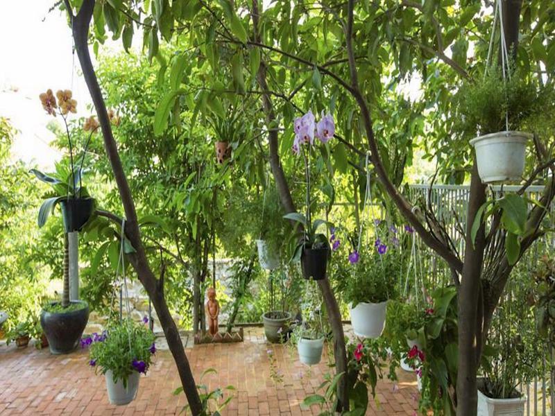 Quynh Nhan Homestay *