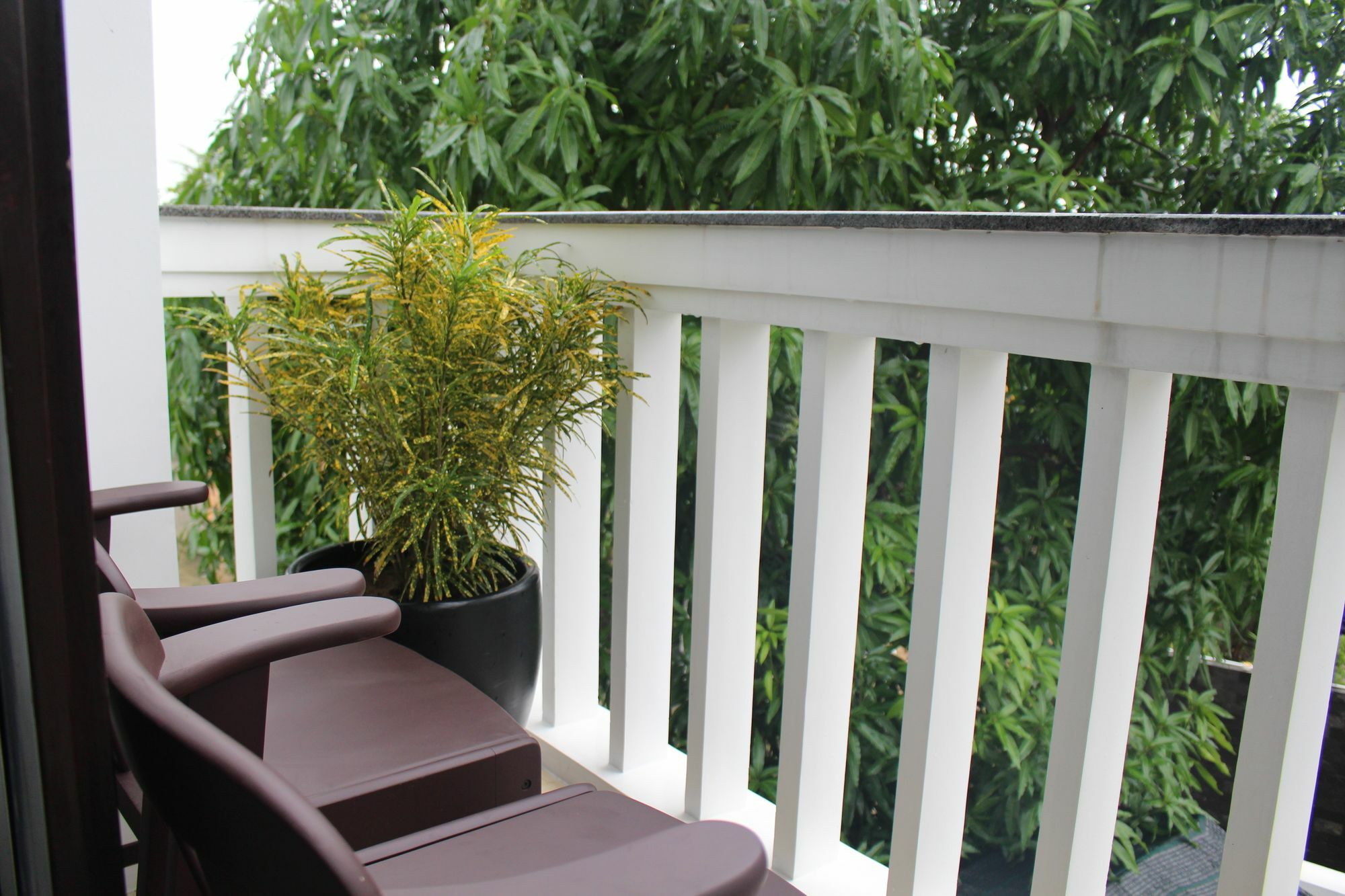 Homestay Coco Couple Hoi An