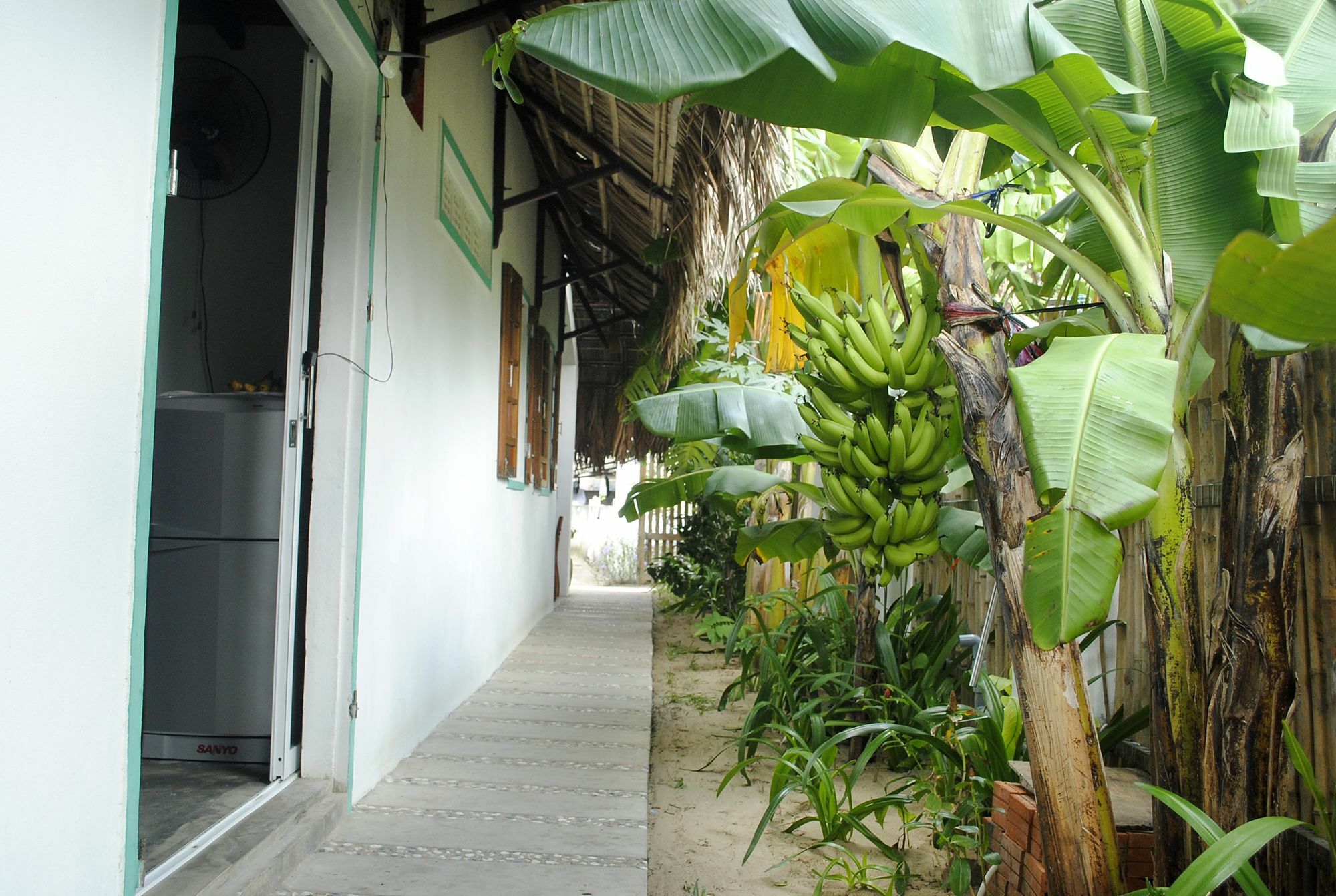 An Bang Little Family Homestay Hoi An