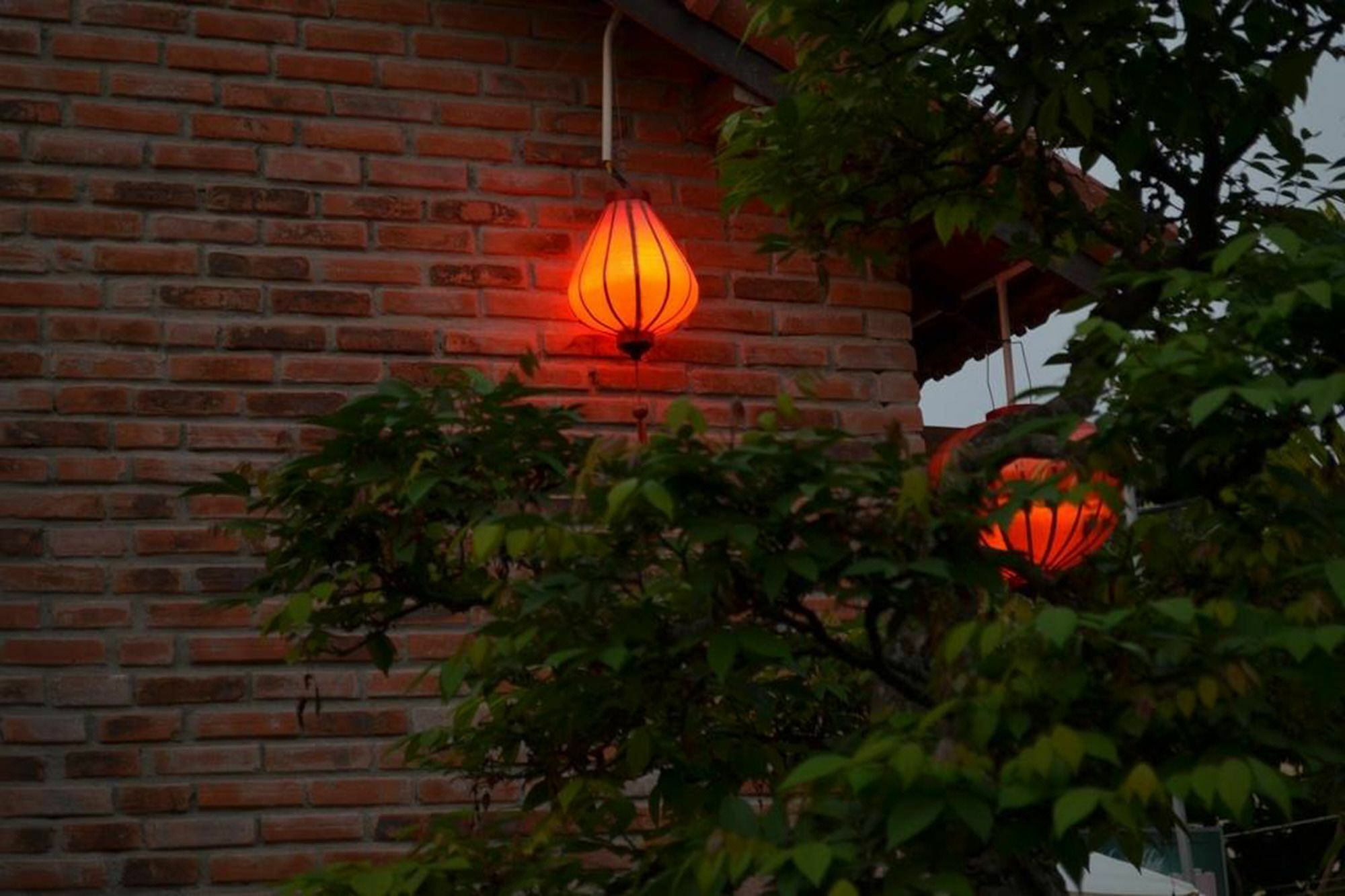 The Grass Vy Homestay *