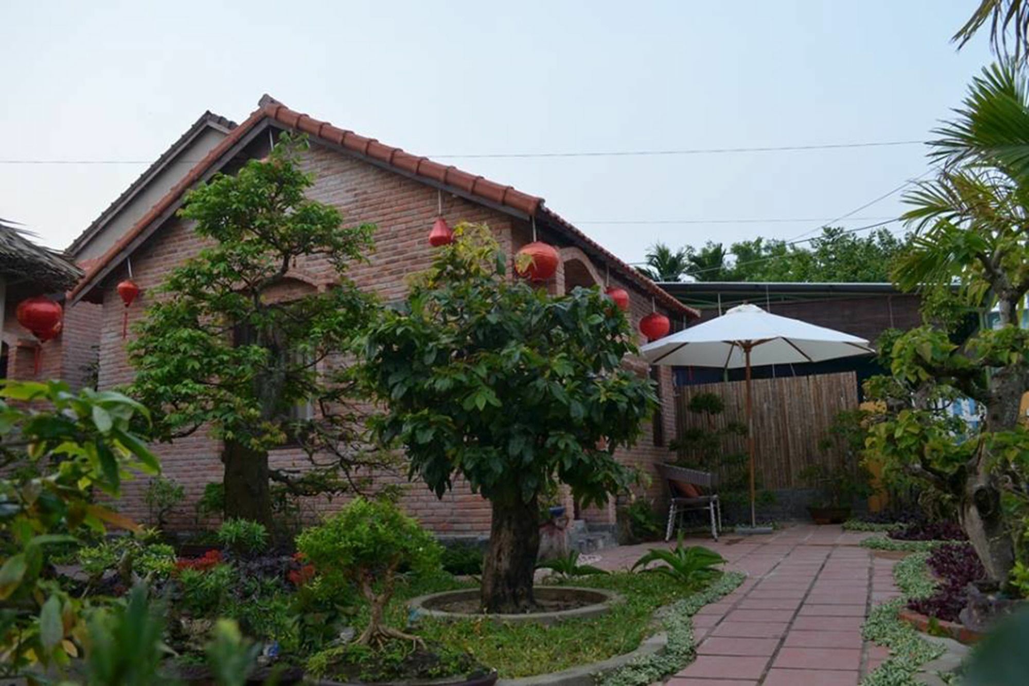 Homestay The Grass Vy *
